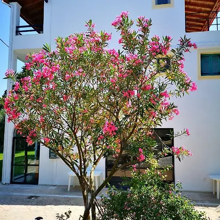 Nikoli Benitses (Corfu)